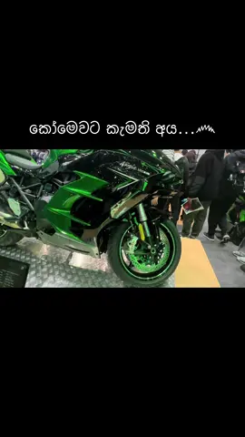 #creatorsearchinsights #viraltiktok #japan #kawasaki #viral 