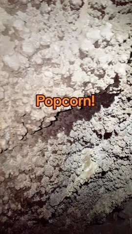#popcorn #cave #caving #spelunking #underground 