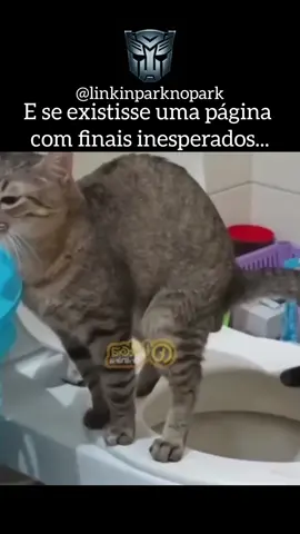 esse gato sabe muito kkk #transformers #linkinpark #final #inesperado #meme 