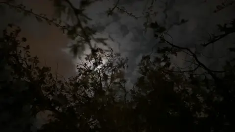 #📷 #pppppppppppppppp #2 