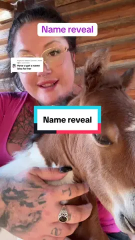 Replying to @Amber (Chloe’s mom🐶) 