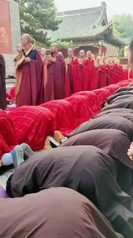 红墙映着香火，我在佛前轻叩。不为求什么，只为把“与你相守”，悄悄融进绵长时光里。#LanguageLearning #算命先生 #熱門 #平安 #國泰民安 