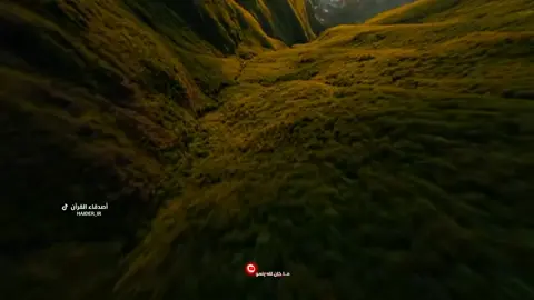 القارئ حيدر محسن البزوني  . .  .فَبَشِّرْ عِبَادِ الَّذِينَ يَسْتَمِعُونَ الْقَوْلَ فَيَتَّبِعُونَ أَحْسَنَهُ ۚ أُولَٰئِكَ الَّذِينَ هَدَاهُمُ اللَّهُ ۖ @القارئ حيدر محسن البزوني  .  . #القران_الكريم_راحه_نفسية😍🕋 #haider_ir #القرآن_نور_للقلوب_وشفاء_للصدور #قراءن_كريم 