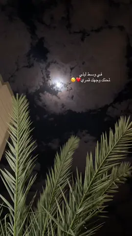 #صباءالخير🎻♥️ 