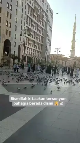 Madinah 🕌🤍 info pendaftaran Umroh dan Haji plus  hub 0817883717 #madinah  #selalurindu  #bismilahfyp 