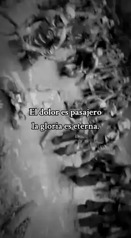 #viralllllll #paratii #kaibil #cursokaibil #fuerzasespeciales 