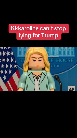 Karoline Leavitts defends Trump saying he didn’t sign that document or write the letter that congress just released. #whitehouse #karolineleavitt #maga #trump 