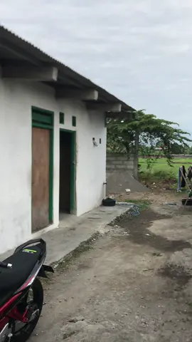 Info gae trend ngene ki 🥺#berandatiktok #fyp #solorayastyle #mx #njmx135 