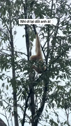 Nhi dỗi anh nữa à #VinWonders #GreenCreator #vinwondersphuquoc #dulich #xuhuong 