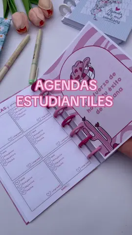 Les presentamos nuestras AGENDAS estudiantiles💖 #agendapersonalizada #agenda #estudiantes #organizacion #papeleria 