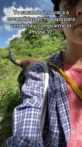 Así toca a veces 😬