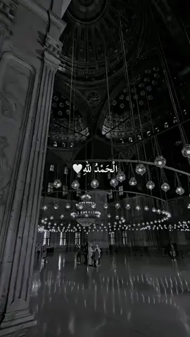 (الْحَمْدُ للّهِ رَبِّ الْعَالَمِينَ) 🍃🤍#ئه_كتيڤ_بن #aynor_n9 #🤍 
