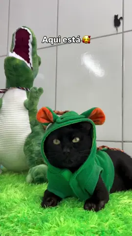 O verdadeiro Gatossauro 💚 Gostaram? @gatossauroo na rede vizinha 🐾 #gatoespecial #fantasiadinossauro #gatodefantasia #gatosfofos 