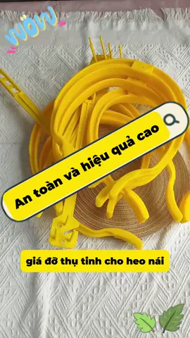 Đai phối tinh cho heo nái cứng cáp 500g #daiphoitinhchoheo 