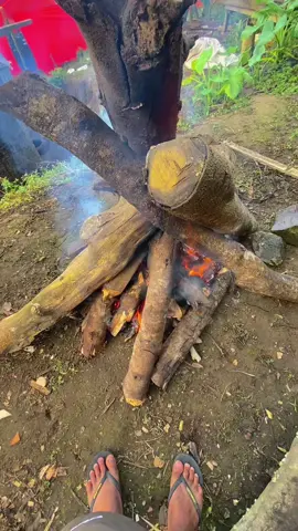 Pagi Sore sama saja🥶🥶🥶#wallaaaa #bajawa_flores_ntt 