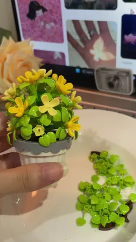 #hoavinhcuu #flowers #laprap #lego #giftideas 