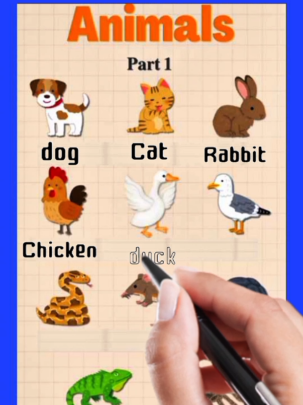 Animals #animal #LearnOnTikTok #english  #unitedstates #USA 