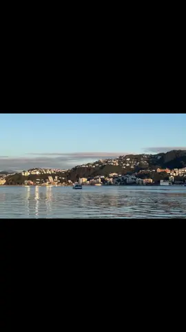 walk around wellington
