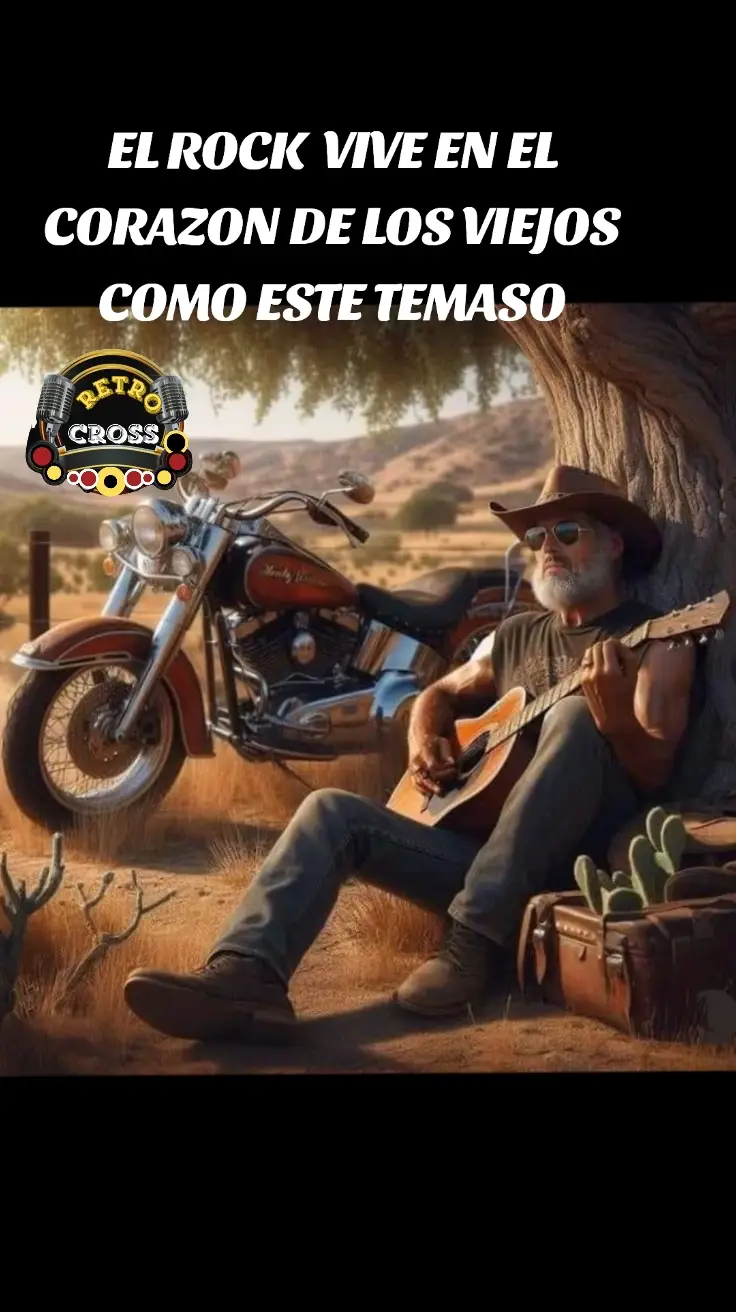 clásico del tiempo THE HOLLIES  LONG COOL WAN