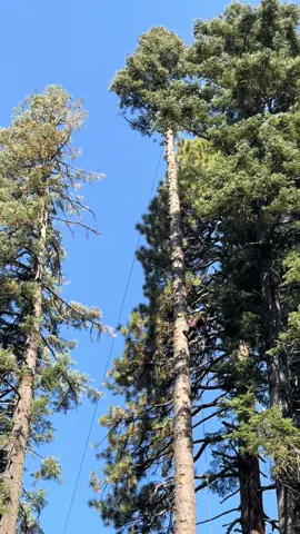 #Recuerdos #arboleros🌲👊 #paratii #fie 