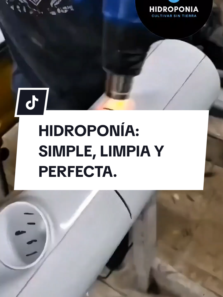 #desarrollosostenible #hidroponíaencasa #vivirbien #salud #solucionnutritiva 