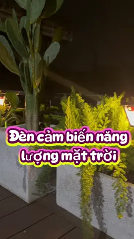 #CapCut Đèn cảm biến năng lượng mặt khỏi lo tiền điện  #dendecor #dencambiennangluongmattroi #densanvuon 