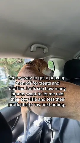 #collab #dogsoftiktok #fy 