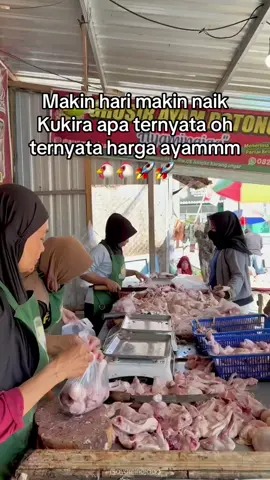 Sing mumet bakule🫠#ayambroiler #bakulpitek🐥🐣🐤 #karanganyar24jam #fyppppppppppppppppppppppp #pitik 