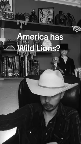 #lion #creepy #scary #illinois #fyp 