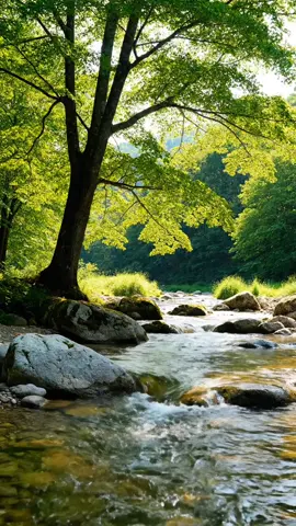 Pemandangan Alam Air Mengalir... #pemandanganalam  #nature #naturelover #naturevibes #aesthetic 