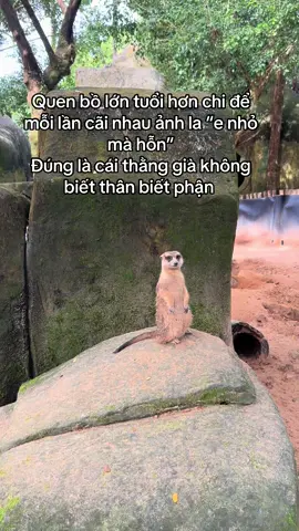 #GreenCreator #VinWonders #dulich 