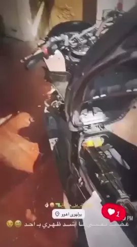 لايك يروحي❤️🫶🤞#مشاهدات #تصميم_فيديوهات🎶🎤🎬 #لايك #صعدو_الفيديو #اكسبلور 