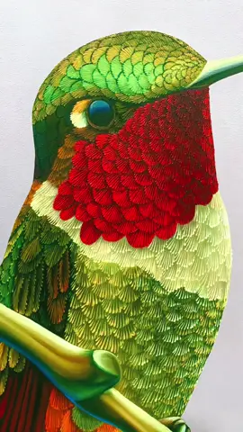 #colibri #arte #aves #picaflor #guatemalaviral🇬🇹 