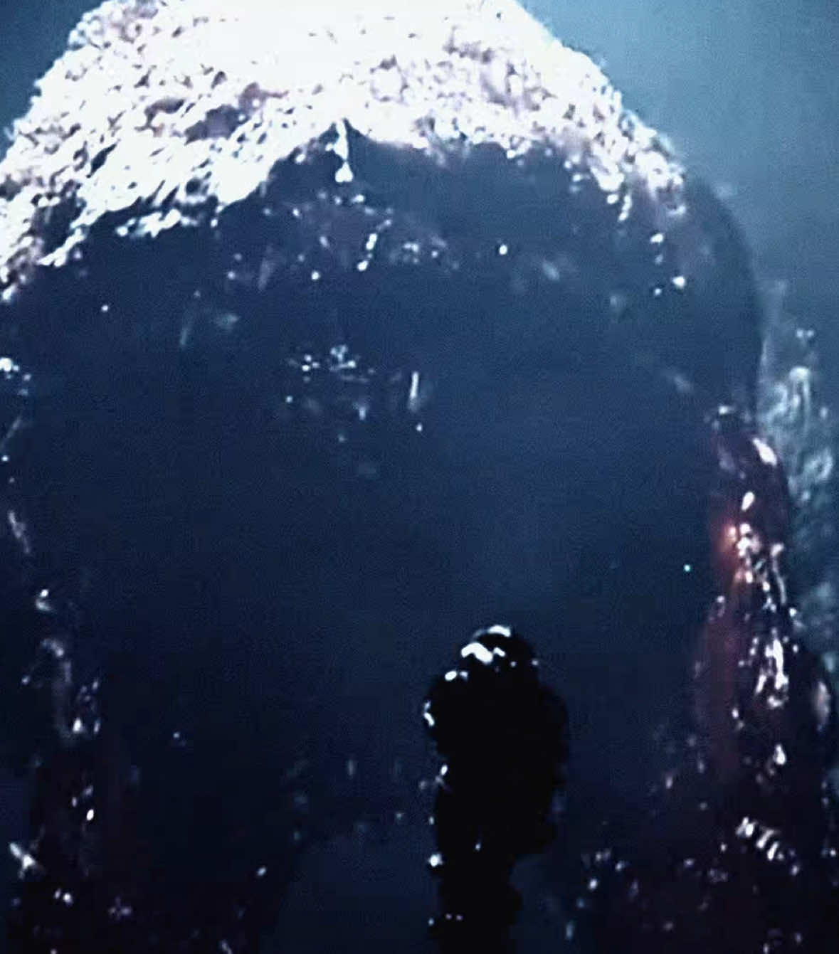 two corpses in one grave #Halo #haloedit #fyp #viral #edit 