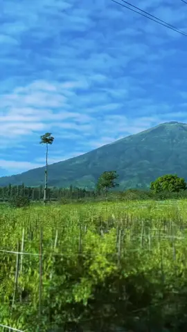 Gak bisa move on 😍 #wonosobo #fyp #temanggung #dieng #alam