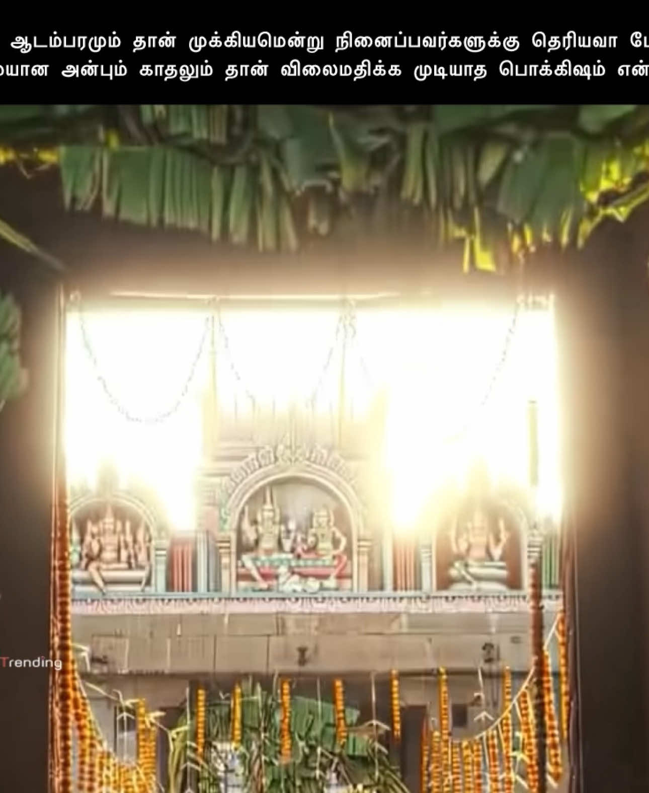 All men need a woman like this🤍   அவளுடைய காதல் அவனுடைய ஒரேயொரு எதிர்பார்ப்பு♥️