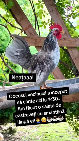 #amintire 