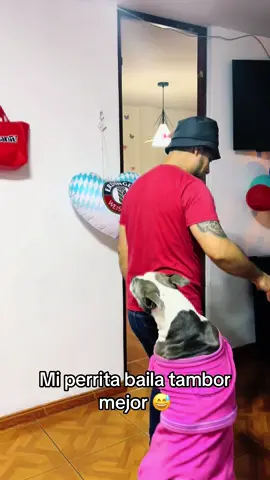 Mi perrita tiene ritmo 🥁  #tambor #perrostiktokers #videoviral #paratii #baile 