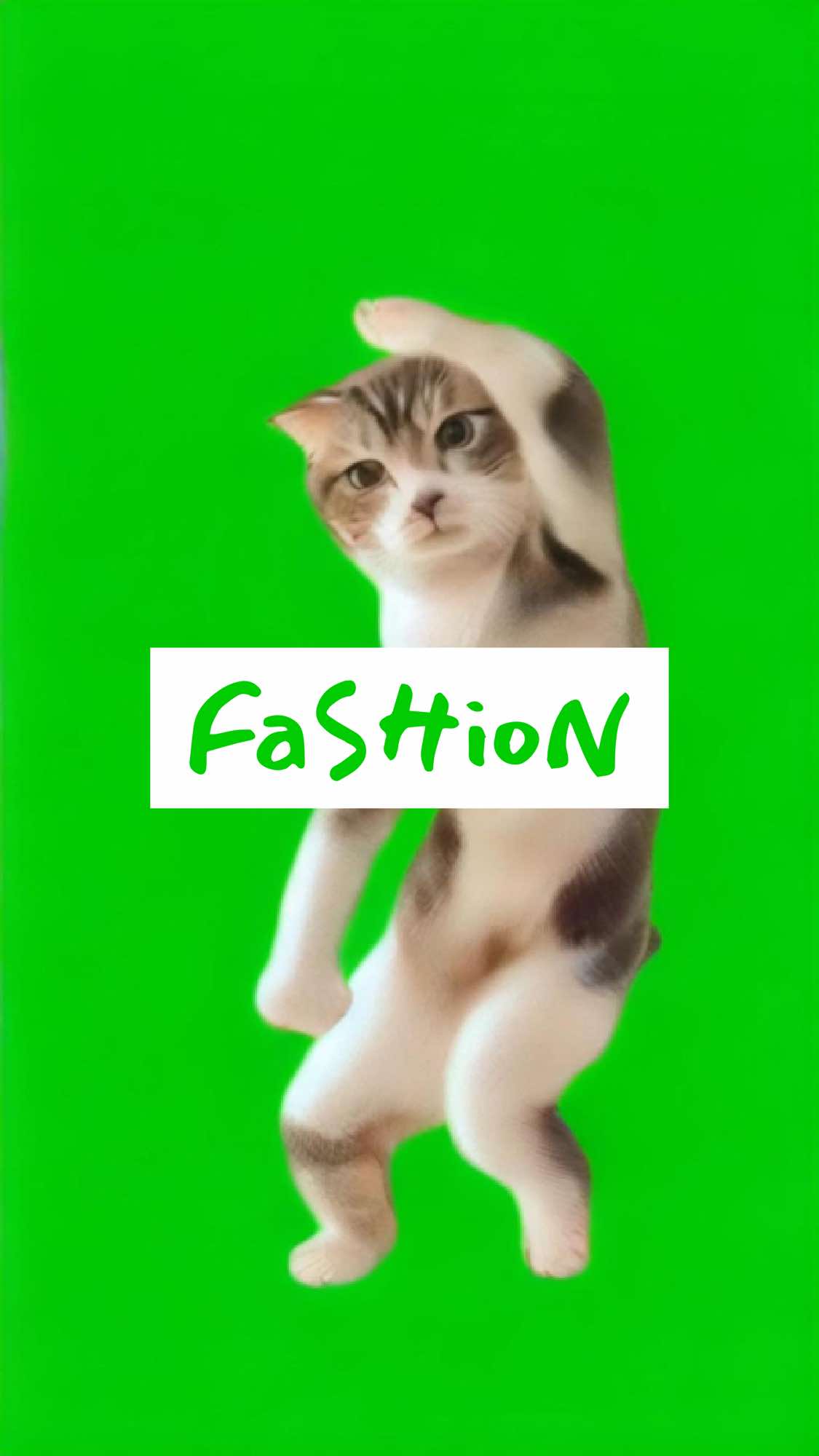 CORTIS Fashion covered by Dancing Cat 💃 @CORTIS #fashion #fashiondance #dancechallenge #cortis #dancingcat 