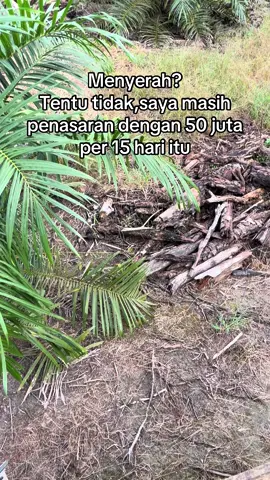 Bismillah 😇Tidak ada Yang tidak mungkin.#fyp #sawitontiktok #kulisawit #petanisawit #petaniindonesia🇮🇩🇮🇩🇮🇩🌿🌿 