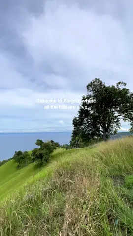 🗻 🍃 #alegria #cebu #fyp 