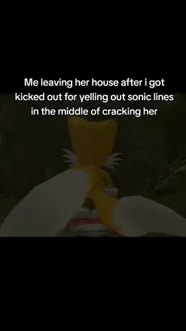 was yelling out chaos control while giving out backshots #relatable #fyp ##xyzcba #sonic #giftok 