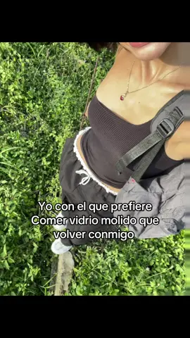 JAJAJA Contenido 