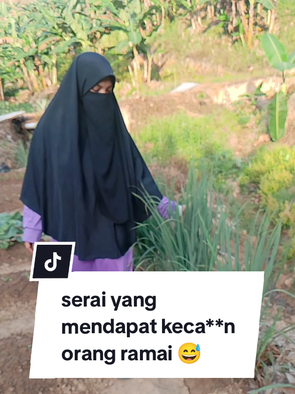 sempat mendapat keca**n daripada sifu² kebun waktu mula tanam😅 saya membuktikan bahwa tanam serai tidak perlu lubang yang dalam pun boleh tumbuh serumpun begini..siapa yang buat?? ALLAH .. kena jaga tanah itu berkualiti Insyaallah tiada alasan tidak boleh pergi   #tanamserai  #berkebun  #serai  #kebuntepirumah  #minigarden 