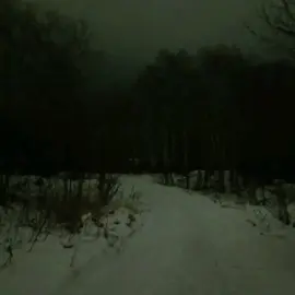 #коричневоеухофараона #песнидлядуши #песнидлялипсингов #fyp 