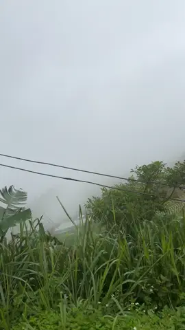 #اللهم -امين