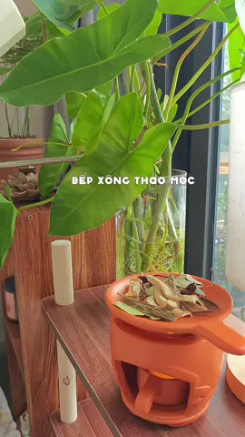 Saigon | Daily | Bếp xông thảo mộc  Cái mùi hương thảo mộc ,bị mê á  nhìn mấy nồi đất nung nhớ ngày xưa chơi đồ hàng ghê 🌱 #annatram_daily #dailyvlog #xuhuong #bepxongthaomoc #cuocsonganyen 