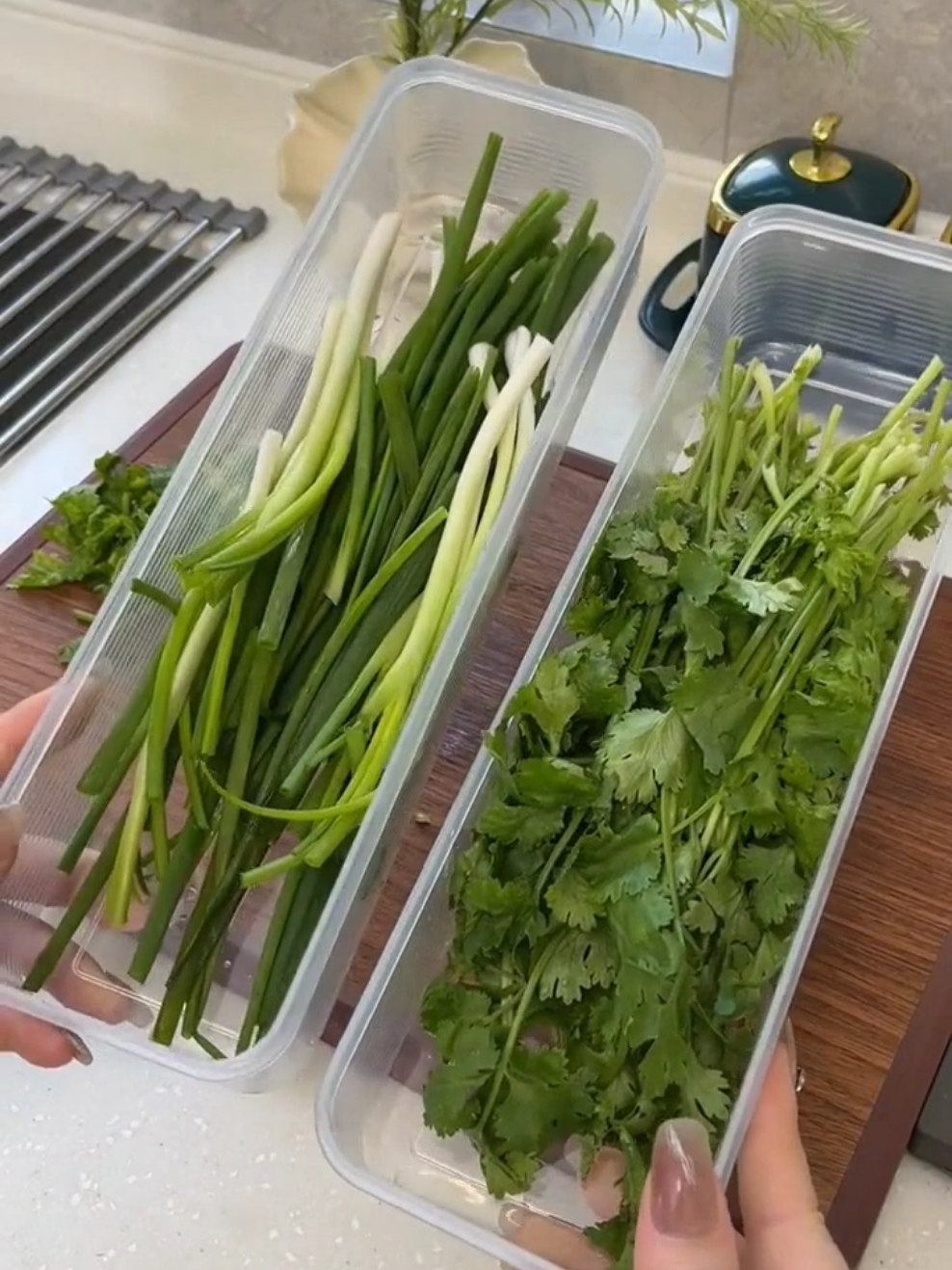 Hộp đựng hành ngò dáng dài để tủ lạnh #bep #phukienbep #giadung #dogiadung #xuhuong 