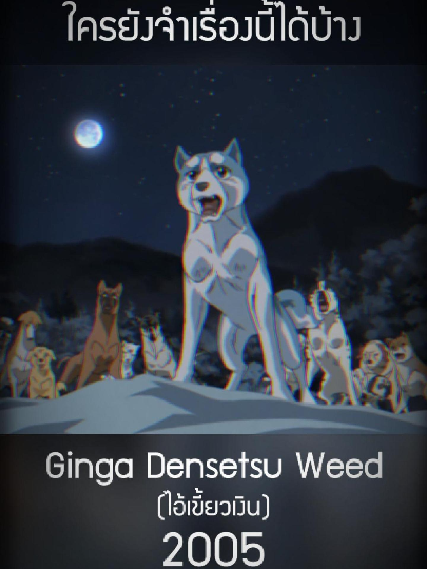 ตอนเด็กอยากดูมากกก แต่พอโตมาทำไมมันดูโหดจัง😆😆 #Gingadensetsuwee #wee #ไอเงี้ยวเงิน#Anime #อนิเมะ #อนิเมะญี่ปุ่น #การ์ตูนวัยเด็ก #Animeop #เพลงอนิเมะ #การ์ตูน #การ์ตูนสนุก #การ์ตูนเก่า #การ์ตูนเก่าที่คิดถึง #คิดถึง #ยังจํากันได้มั้ย #2005