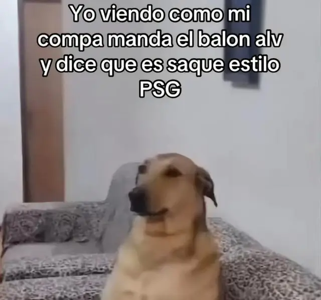 #paratii #viral_video #ecuador 